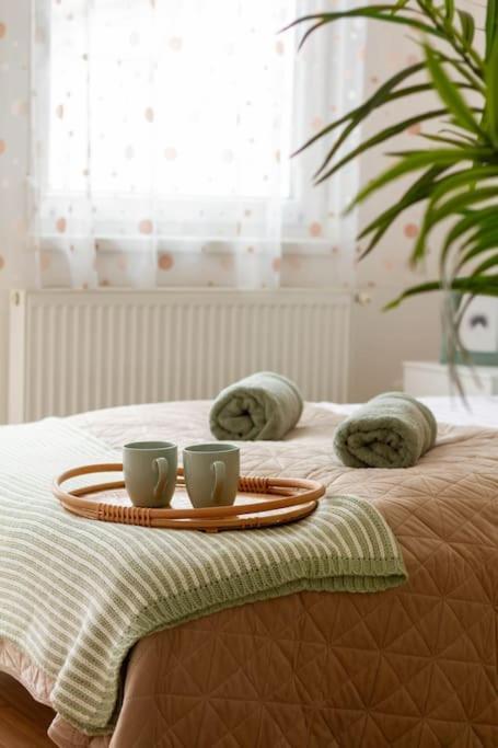 Family Lux Lounge In Voeroesmarty Street By Nw Apartment Budapest Bagian luar foto